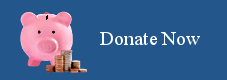 Donation Page